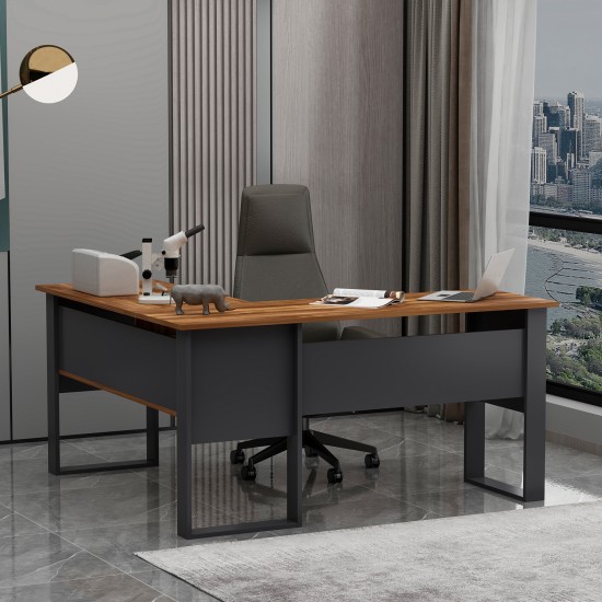 Landi Ofis Masası Antrasit Kemençe
