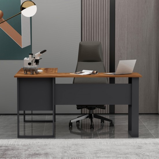Landi Ofis Masası Antrasit Kemençe