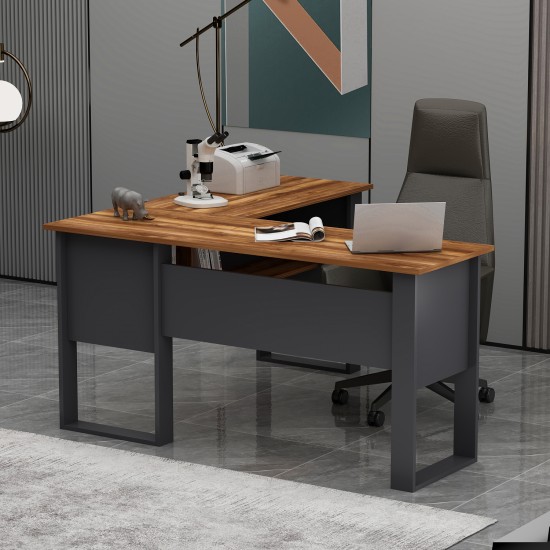 Landi Ofis Masası Antrasit Kemençe